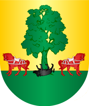 ESCUDO ALEATORIO